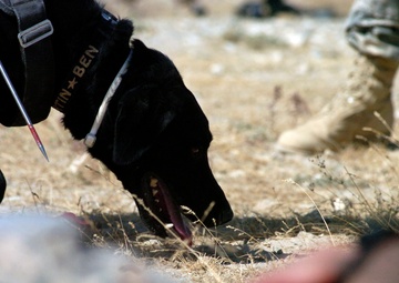 BAF MAC finds mines to keep Afghans, service members safe