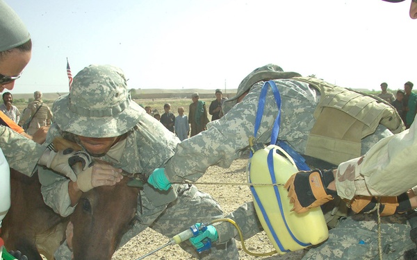 Coalition Forces Conduct VCAP