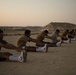Marines PT with Iraqi army