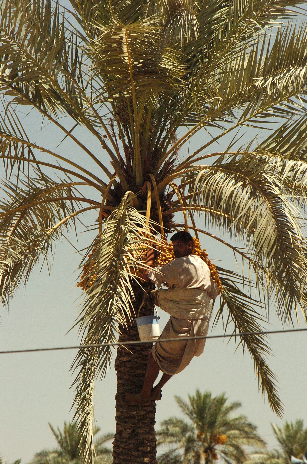 Abu Karmah Operations