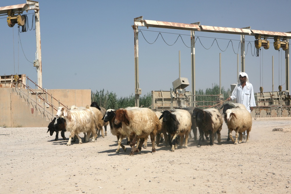 Marines visit Checkpoints in Al Namer