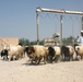 Marines visit Checkpoints in Al Namer