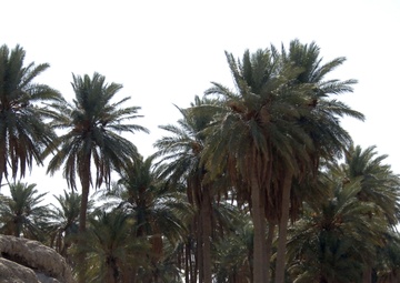 Diwaniyah province