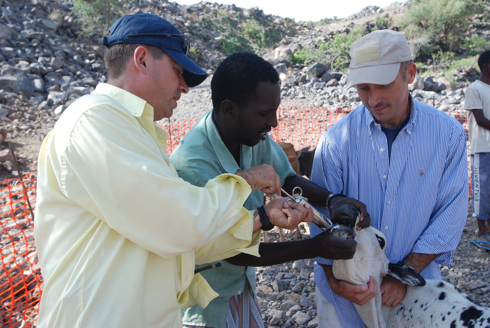 VETCAP Brings Training, Education, Hope to Djiboutian Herdsmen