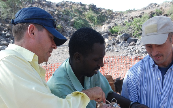 VETCAP Brings Training, Education, Hope to Djiboutian Herdsmen