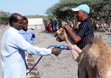 VETCAP Brings Training, Education, Hope to Djiboutian Herdsmen