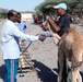 VETCAP Brings Training, Education, Hope to Djiboutian Herdsmen