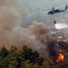 San Diego County's burning landscape