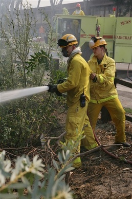 Bush: Military Assets Available for Fire Aid