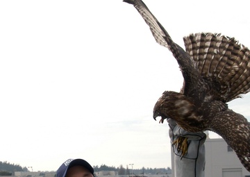 Dane Ledbetter holds red-tailed hawk