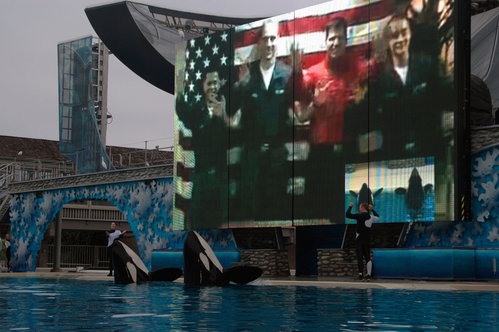 Sailors give commands to killer whales