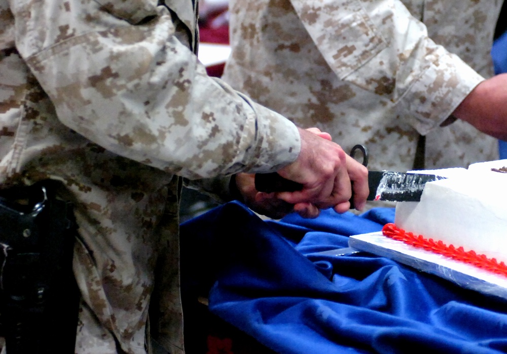 Marines Celebrate Birthday in Iraq