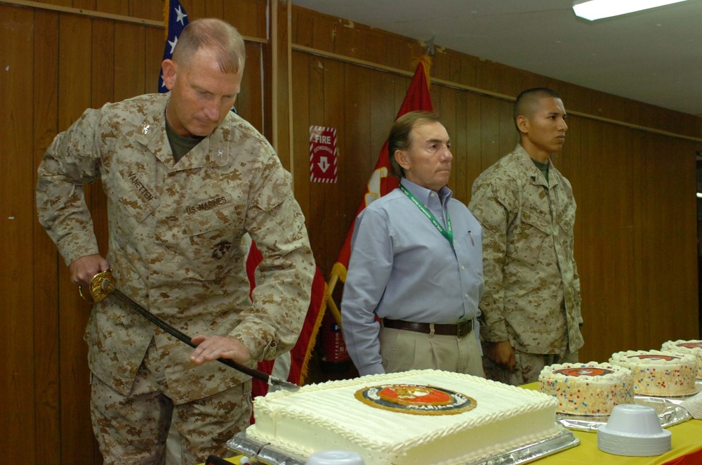 Marine Corps birthday cake
