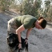Task Force Military Police Train dogs