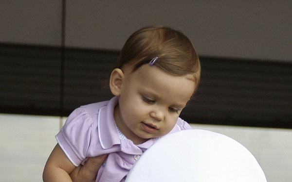 Destroyer Squadron 24