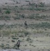 Marine Wing Support Battalion -372 Conducts a Dismounted Patrol