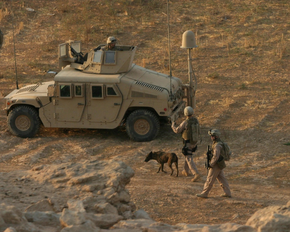 Marine Wing Support Battalion -372 Conducts a Dismounted Patrol