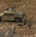 Marine Wing Support Battalion -372 Conducts a Dismounted Patrol