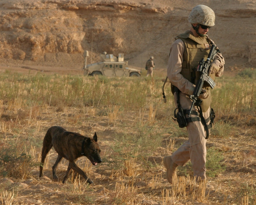 Marine Wing Support Battalion -372 Conducts a Dismounted Patrol