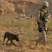 Marine Wing Support Battalion -372 Conducts a Dismounted Patrol