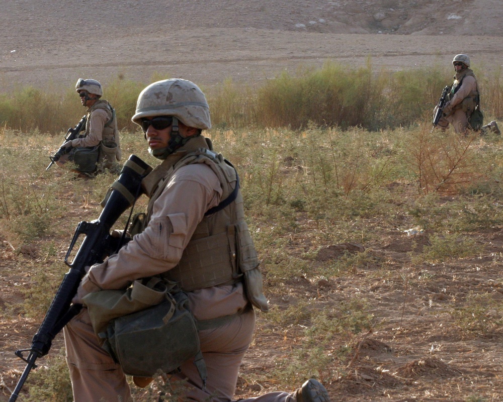 Marine Wing Support Battalion -372 Conducts a Dismounted Patrol