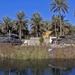 Operation Able Nightrain Clears Diyala Province Palm Groves