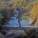 Operation Able Nightrain Clears Diyala Province Palm Groves