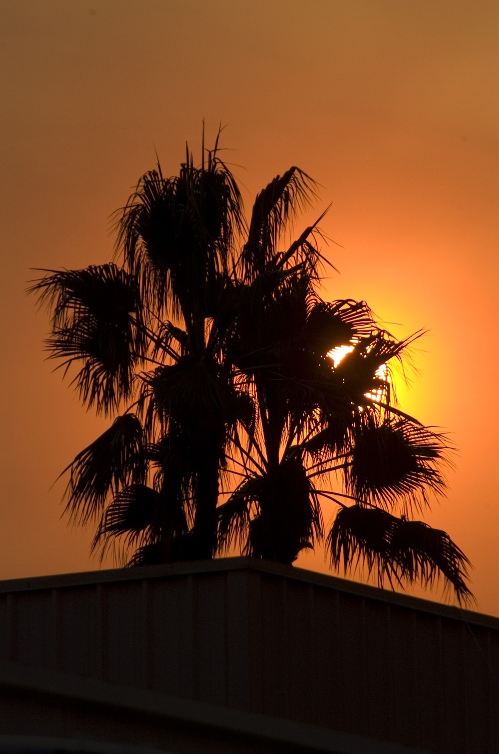 Sunset during california fires