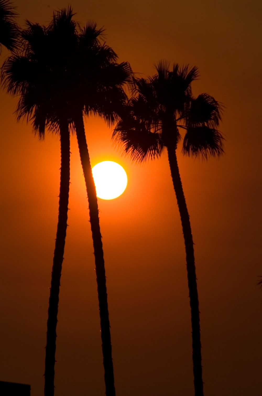 Sunset during california fires