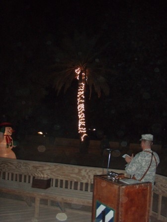 Tree Brightens Night, Spirits