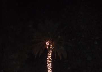 Tree Brightens Night, Spirits