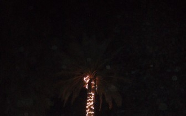 Tree Brightens Night, Spirits