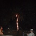Tree Brightens Night, Spirits