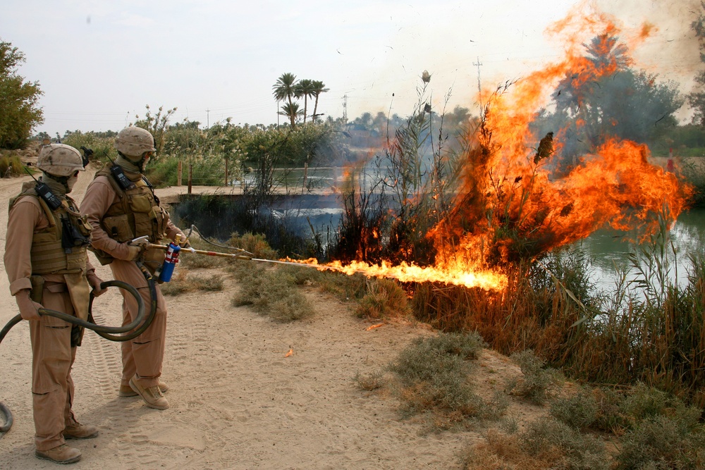 Operation Iraqi Freedom 06-08