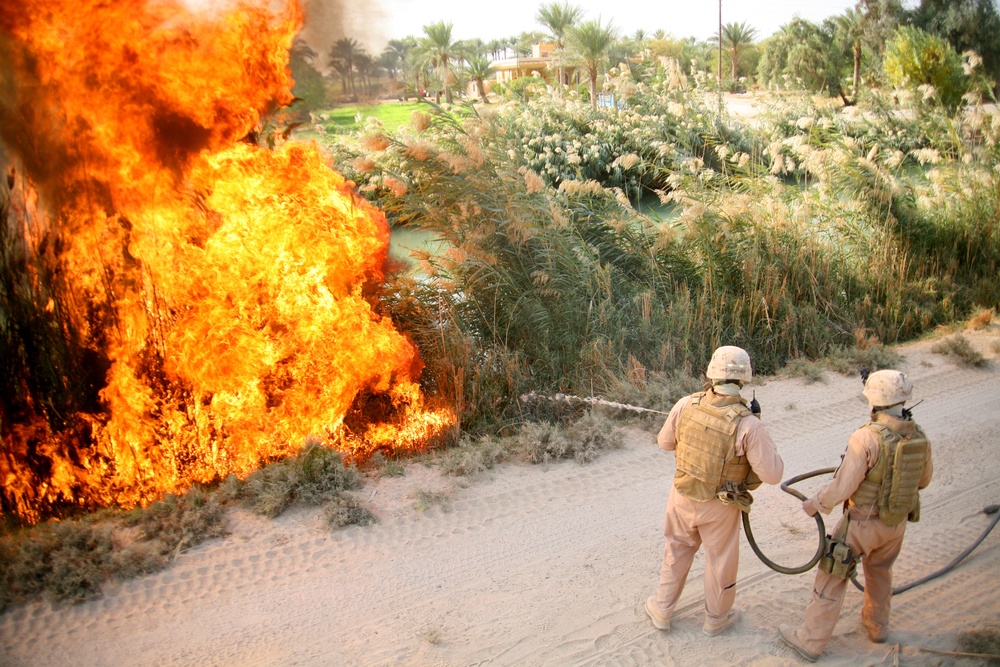 Operation Iraqi Freedom 06-08