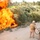 Operation Iraqi Freedom 06-08