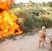 Operation Iraqi Freedom 06-08