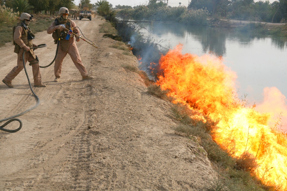 Operation Iraqi Freedom 06-08