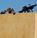 Operation Rock Reaper Clears Al-Qaida Strongholds West of Baqouba