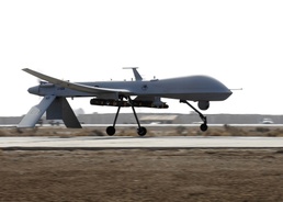 Predator on the move