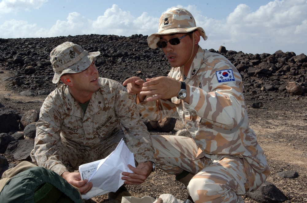 Operation Unity Dart Bombing Exercise