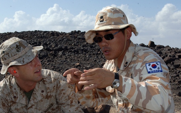 Operation Unity Dart Bombing Exercise