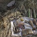 Operation Raider Harvest