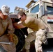 Seabees support U.S. military operations as apart of Operation Iraqi Freedo