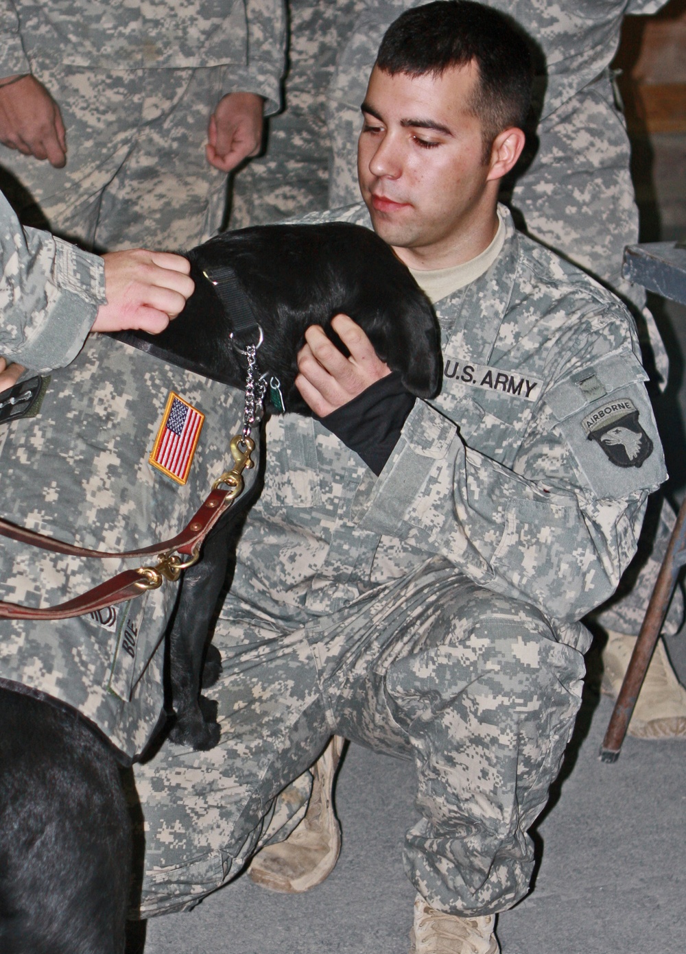 Combat stress dog puts Bastogne Soldiers 'At Ease'