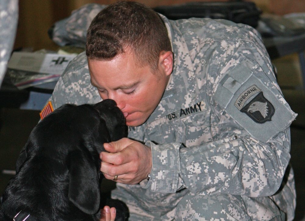 Combat stress dog puts Bastogne Soldiers 'At Ease'