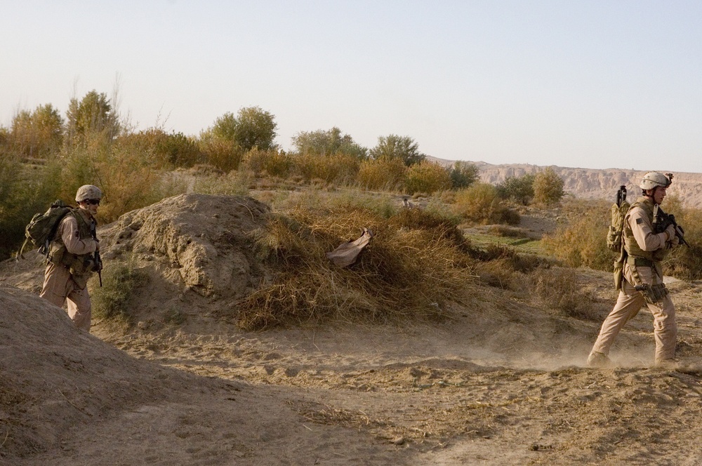 Scout Sniper Platoon Provides Reconnaissance