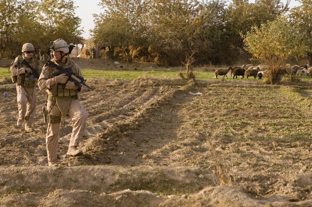 Scout Sniper Platoon Provides Reconnaissance