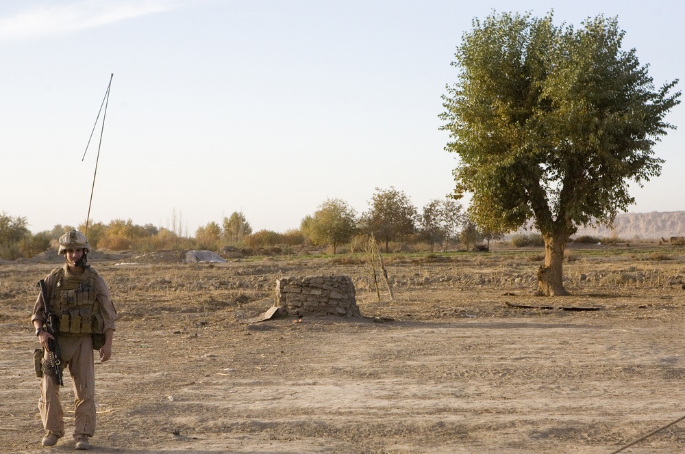 Scout Sniper Platoon Provides Reconnaissance