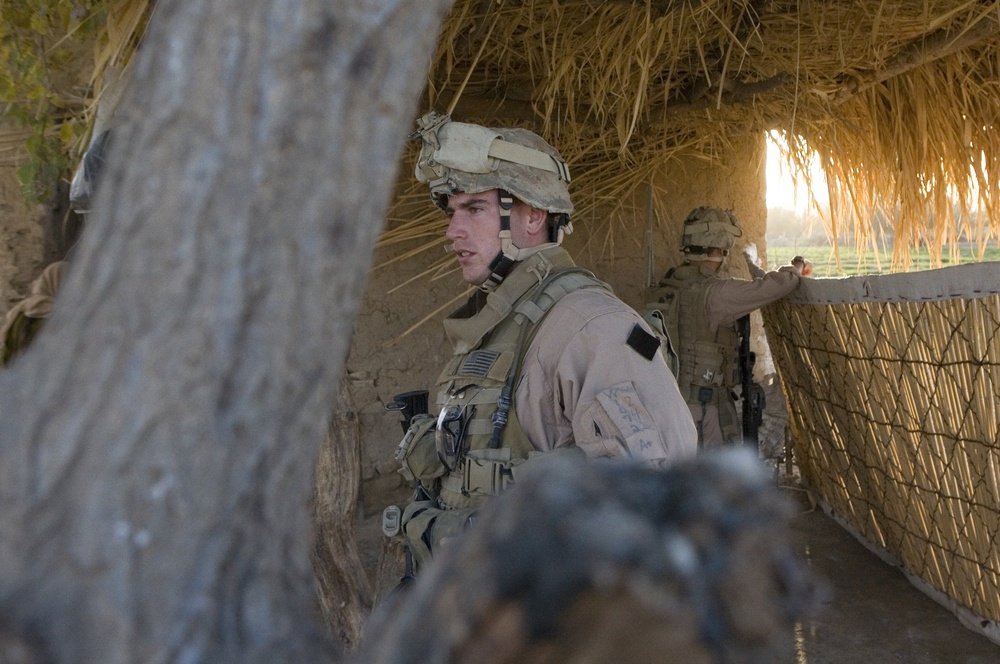 Scout Sniper Platoon Provides Reconnaissance